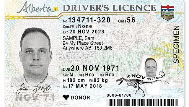 other ways to find my drivers license number