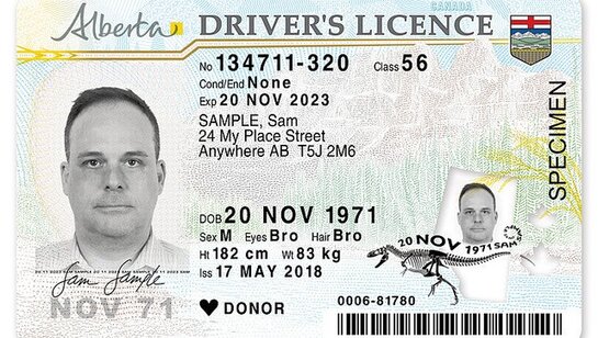 Buy Express Driving Licence